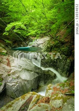 新緑の西沢渓谷　三重の滝 53654652