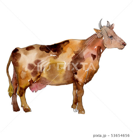 Cow farm animal in a watercolor style isolated. Aquarelle wild animal for background. 53654656