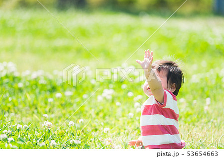 赤ちゃん　顔なし　屋外 53654663