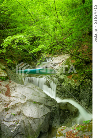新緑の西沢渓谷　三重の滝 53654715