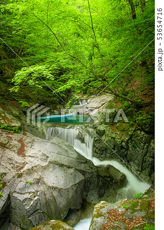新緑の西沢渓谷　三重の滝 53654716