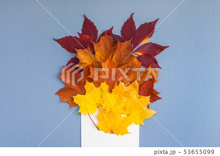 Autumn leaves in paper envelope mockup Autumn leaves in paper envelope mockup 53655099