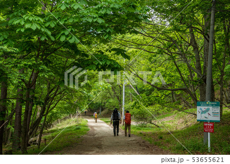 新緑の西沢渓谷入口 53655621