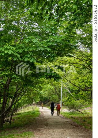 新緑の西沢渓谷入口 53655622