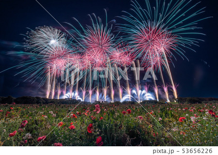 小貝川フラワーフェスティバル２０１９　花火打ち上げ事業 53656226