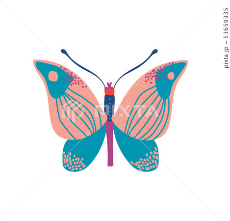 Butterfly Insect with Colorful Wings Vector Illustration 53659335