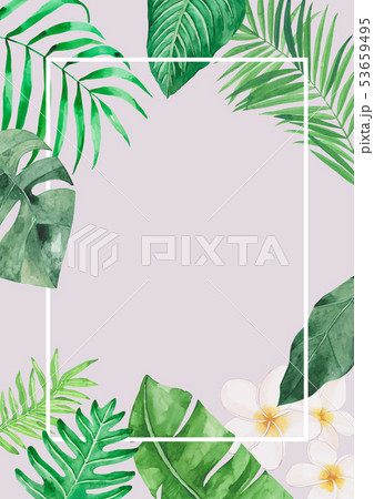 水彩画 熱帯植物 葉のイラスト素材