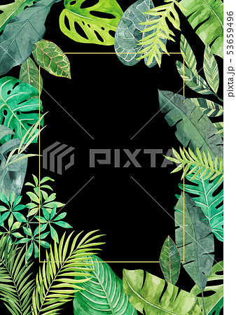 水彩画 熱帯植物 葉のイラスト素材