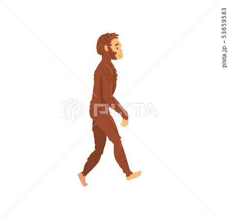 Homo Erectus, Biology Human Evolution Stage, Evolutionary Process of Woman Vector Illustration 53659583