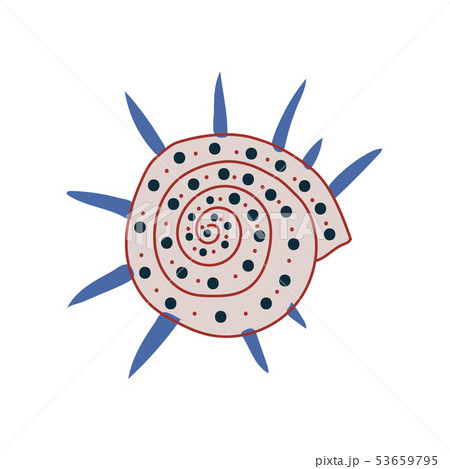 Tropical Marine Underwater Aquatic Seashell Vector Illustration 53659795