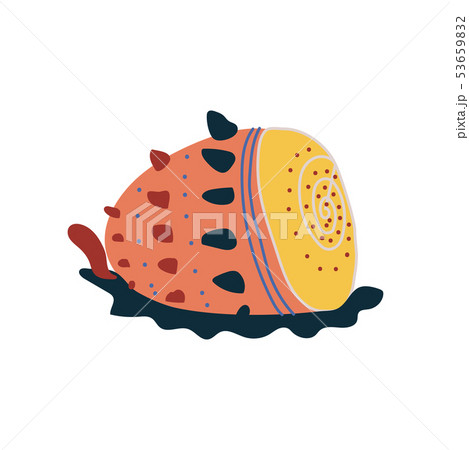 Tropical Shell, Underwater Colorful Sea Creature Vector Illustration Tropical Shell, Underwater Colorful Sea Creature Vector Illustration 53659832