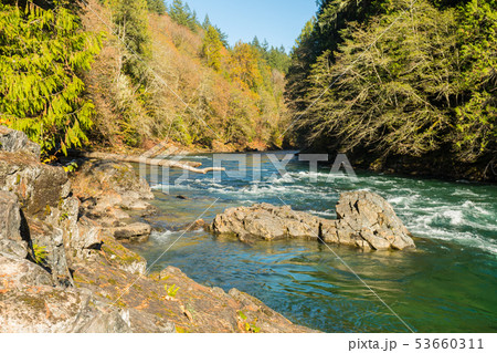 The turquoise water of the Skagit River descending with force The turquoise water of the Skagit River descending with force 53660311