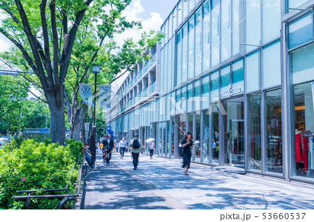 新緑の表参道 ブルーイメージ 新緑の表参道 ブルーイメージ 53660537
