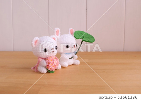 rainy season 53661336