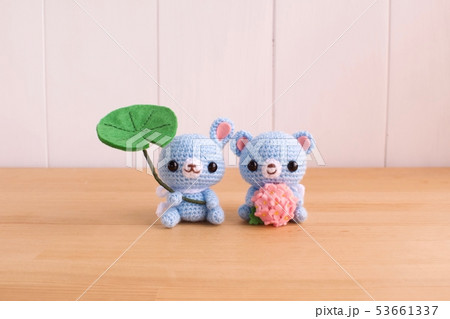 rainy season 53661337