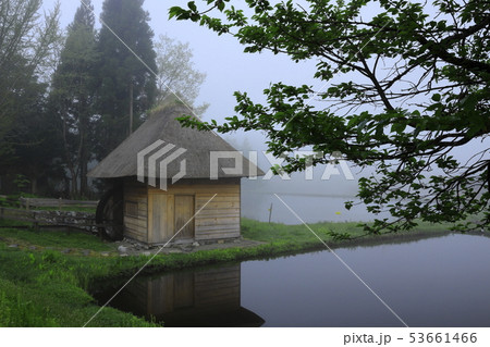 春の山口の水車小屋 53661466