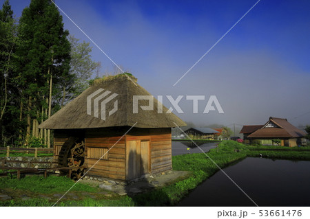 春の山口の水車小屋 53661476