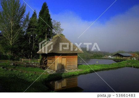 春の山口の水車小屋 53661483