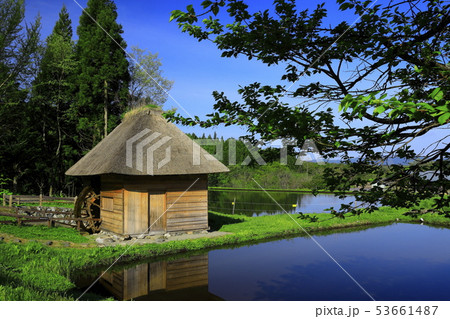 春の山口の水車小屋 53661487