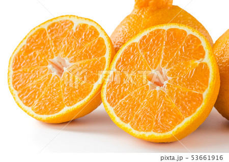 デコポン デコポン 53661916