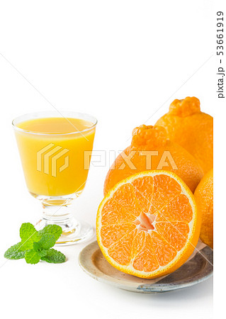 デコポン 53661919