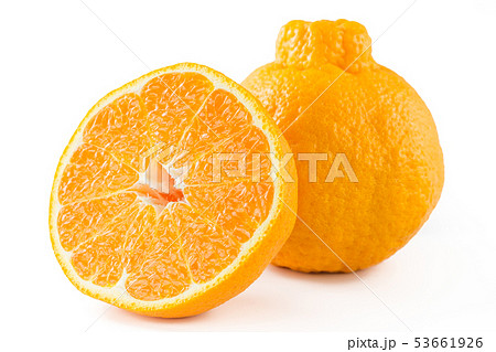 デコポン 53661926