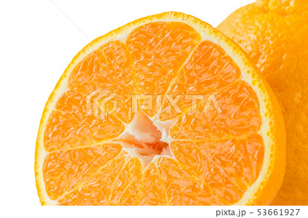 デコポン デコポン 53661927