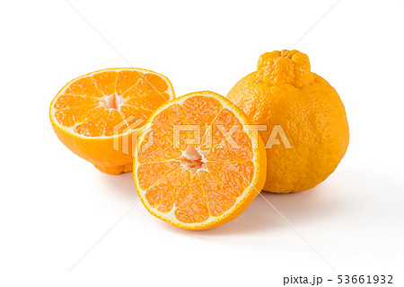 デコポン 53661932