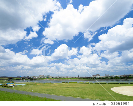 初夏の荒川河川敷 53661994