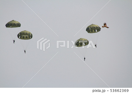美保基地 航空祭での空てい部隊のパラシュート降下 美保基地 航空祭での空てい部隊のパラシュート降下 53662369