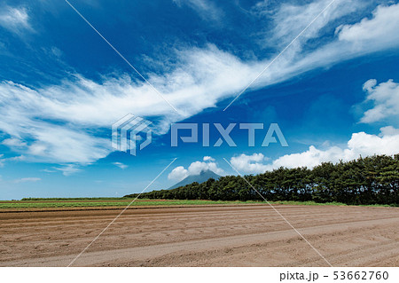 開聞岳と畑 53662760