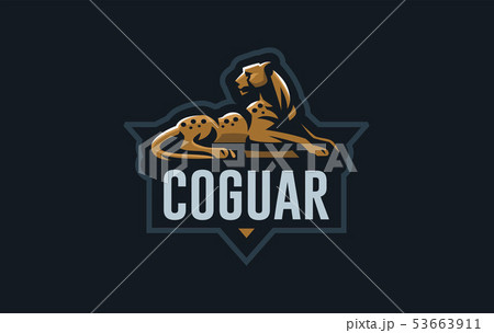 The image of a cheetah. 53663911