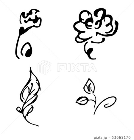 Flowers and branches hand drawn doodle collection Flowers and branches hand drawn doodle collection 53665170