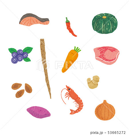 食材セット 野菜 魚介 肉 フルーツ イラスト ベクターのイラスト素材