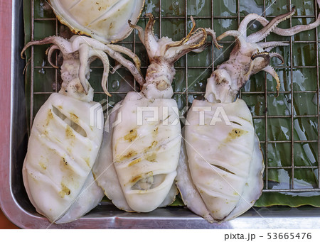 Fresh squid grilled on the steel mesh. 53665476