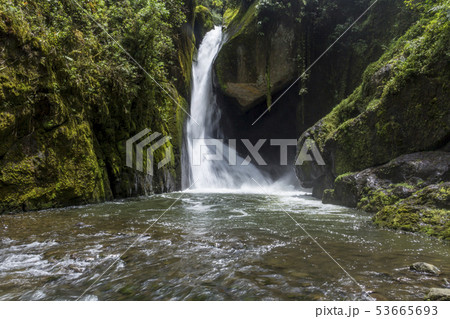 Waterfall Savegre River, Los quetzales national pa Waterfall Savegre River, Los quetzales national pa 53665693