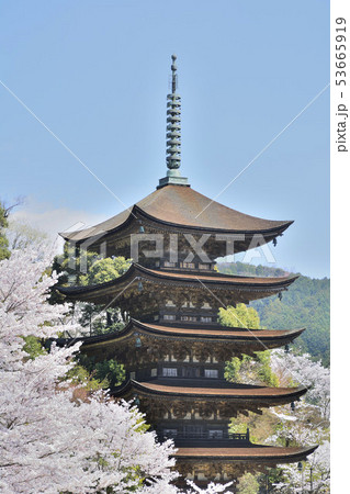 瑠璃光寺　国宝　五重塔　 53665919