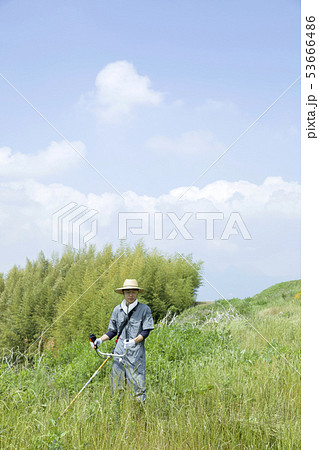 草刈り、除草イメージ　草刈りをする男性 53666486