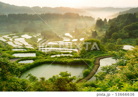 星峠 星峠 53666636