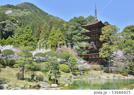 瑠璃光寺　国宝　五重塔 53666925