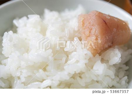 たらこと白いごはん 53667357