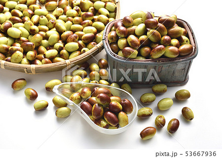 フルーツ 果物 果実 53667936