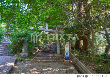 茨城の百名山 筑波山(御幸ヶ原コース入口） 53668108