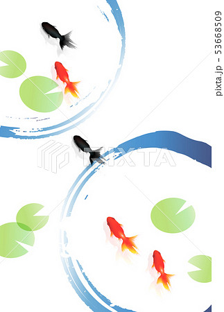 暑中見舞い 金魚 夏 背景 暑中見舞い 金魚 夏 背景 53668509