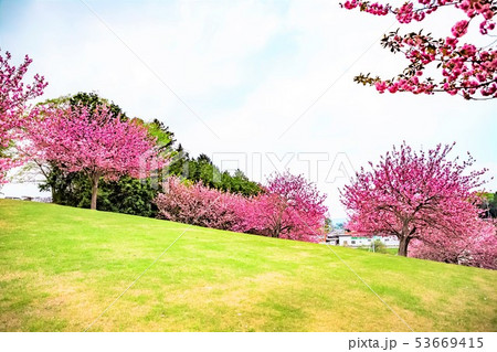 笠間芸術の森公園　工芸の丘 53669415