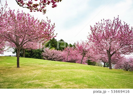 笠間芸術の森公園 工芸の丘 笠間芸術の森公園 工芸の丘 53669416