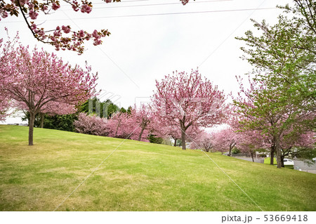 笠間芸術の森公園 工芸の丘 笠間芸術の森公園 工芸の丘 53669418