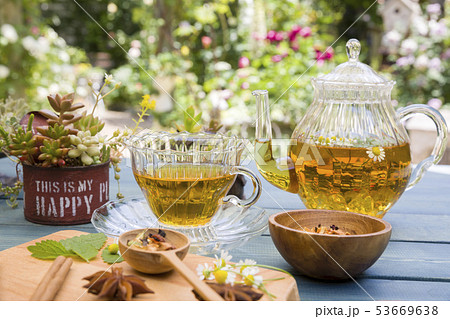 ハーブティーとガーデン 53669638