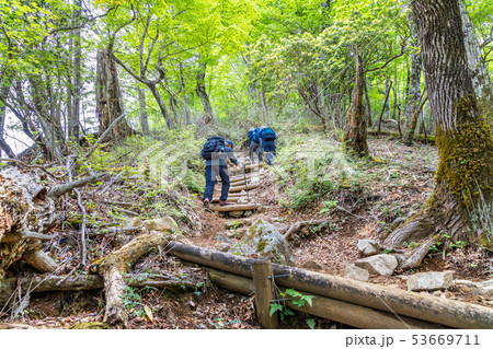 新緑の中の登山道 新緑の中の登山道 53669711