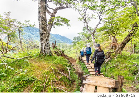 新緑の中の登山道 53669718